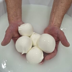 mani mozzarelle