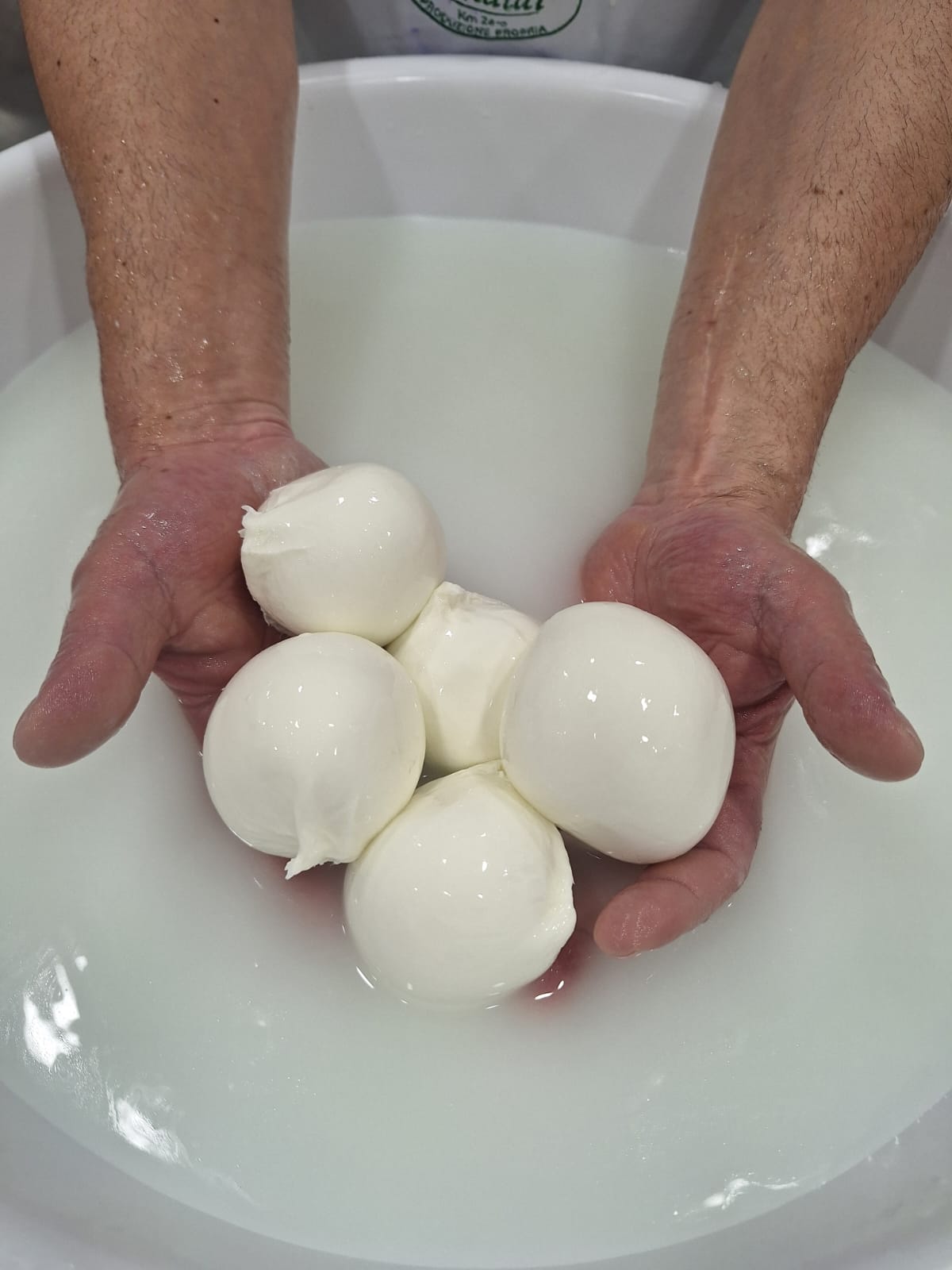 Filatura artigianale mozzarelle Rinaldi